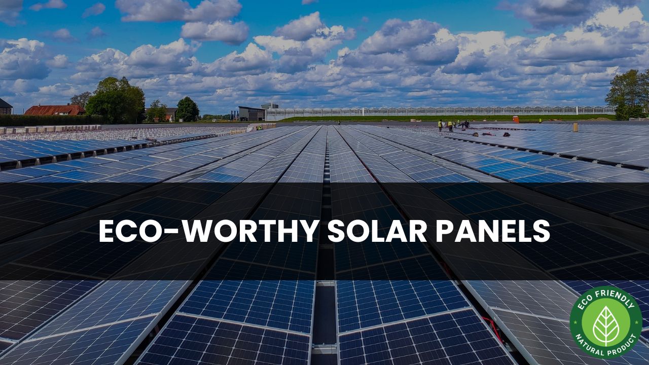 Eco-Worthy Solar Panels